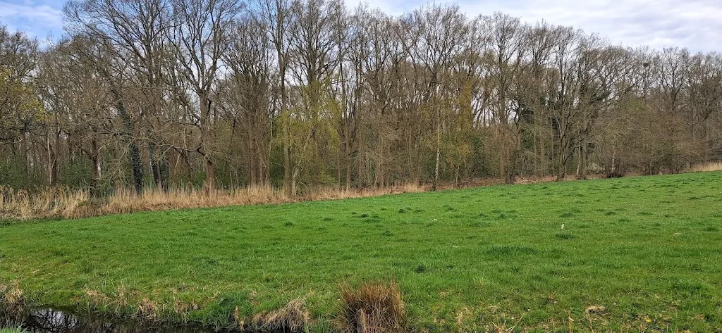 Manege Santhorst - foto 3