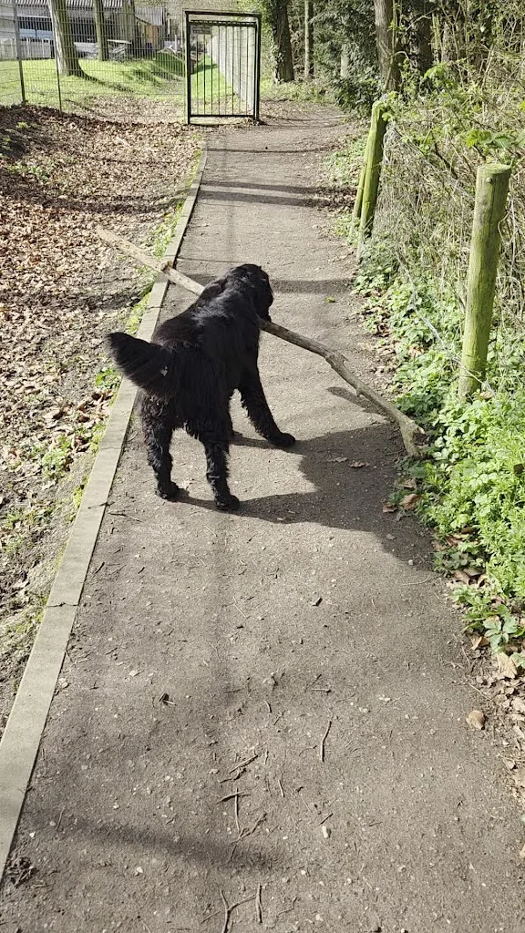 Hoeve 't Nijkamp - foto 1