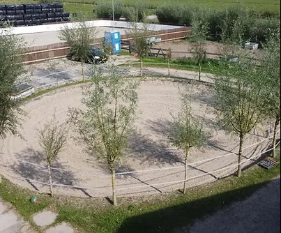 IJslanderstal Weltevreden - foto 2