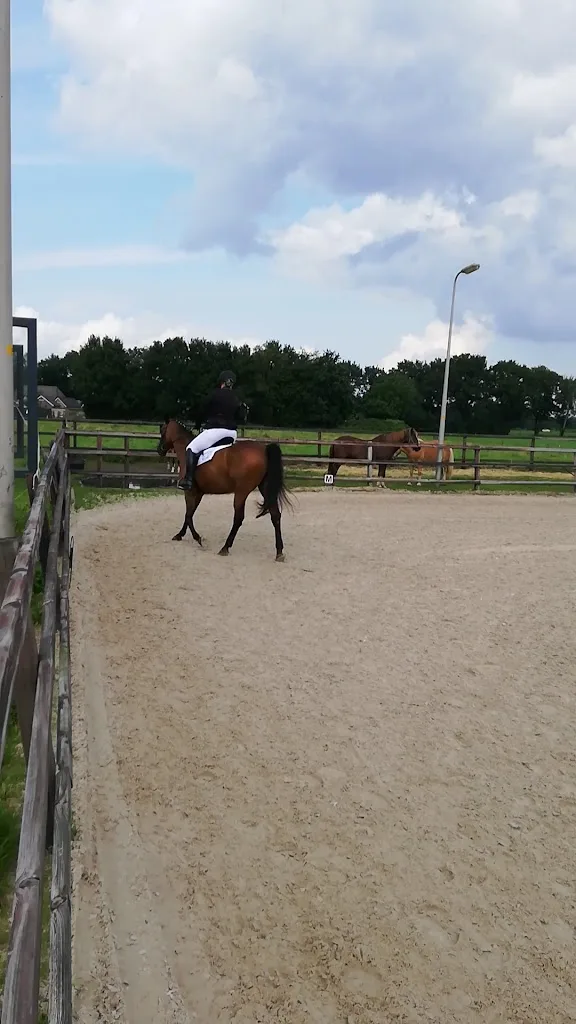 Stoeterij Pride Stables - foto 2