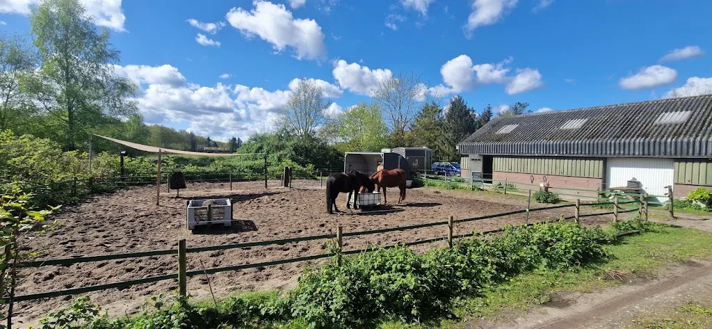 Stal Charming Stables - foto 2