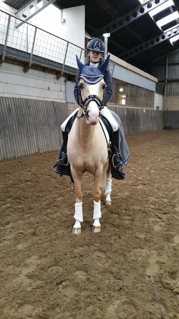 Manege De Mustang - foto 1