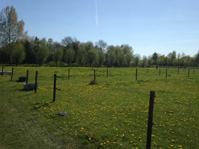 Paardenhouderij D'n Bles - foto 1