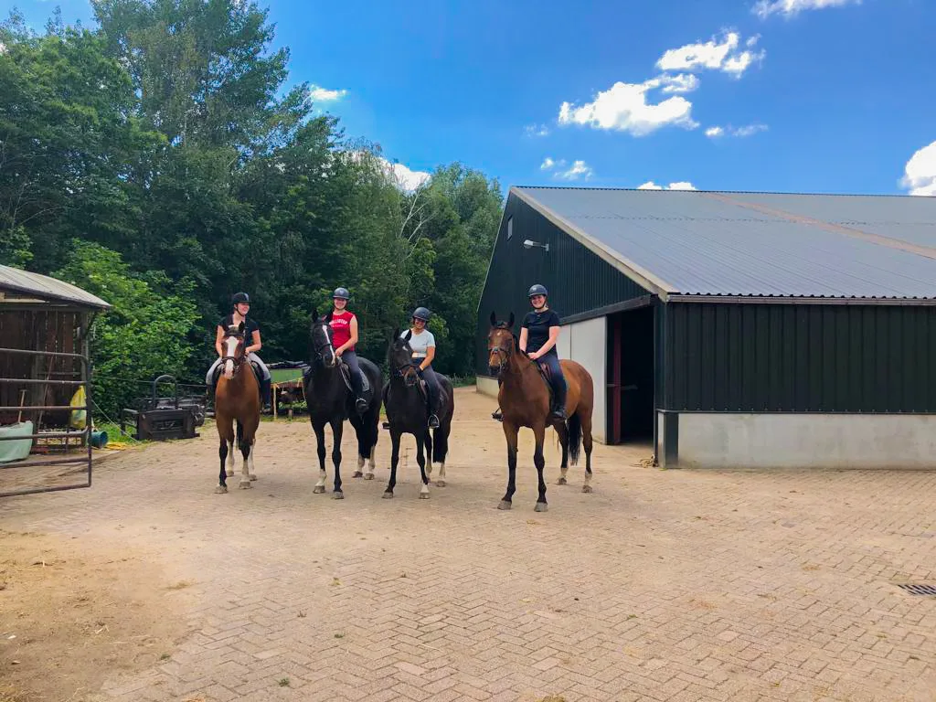Paardenhouderij D'n Bles - foto 2