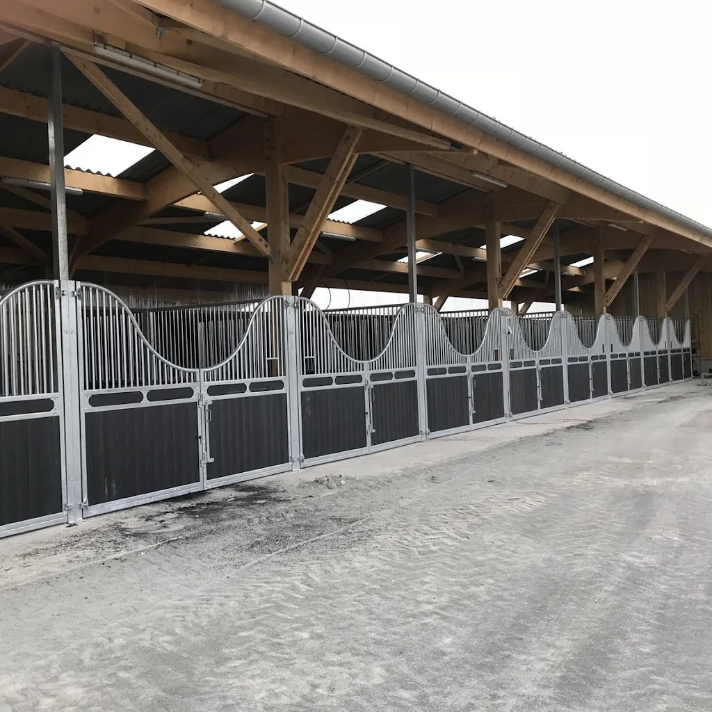 Paardenhouderij D'n Bles - foto 3