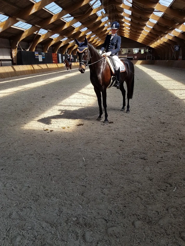 Rijvereniging en Ponyclub "Zwartewaterruiters" - foto 3