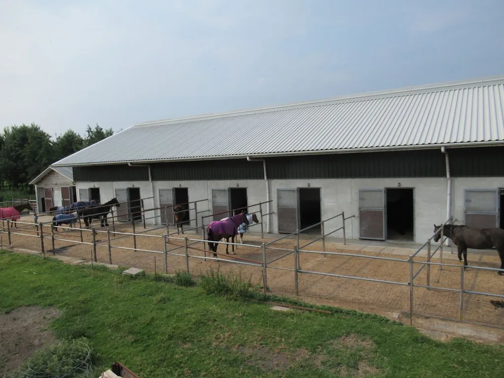 vK stables - foto 2