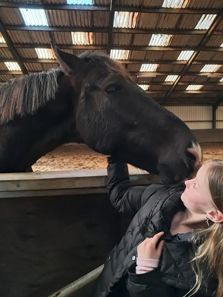 Het Paardenwelzijnscentrum - foto 2