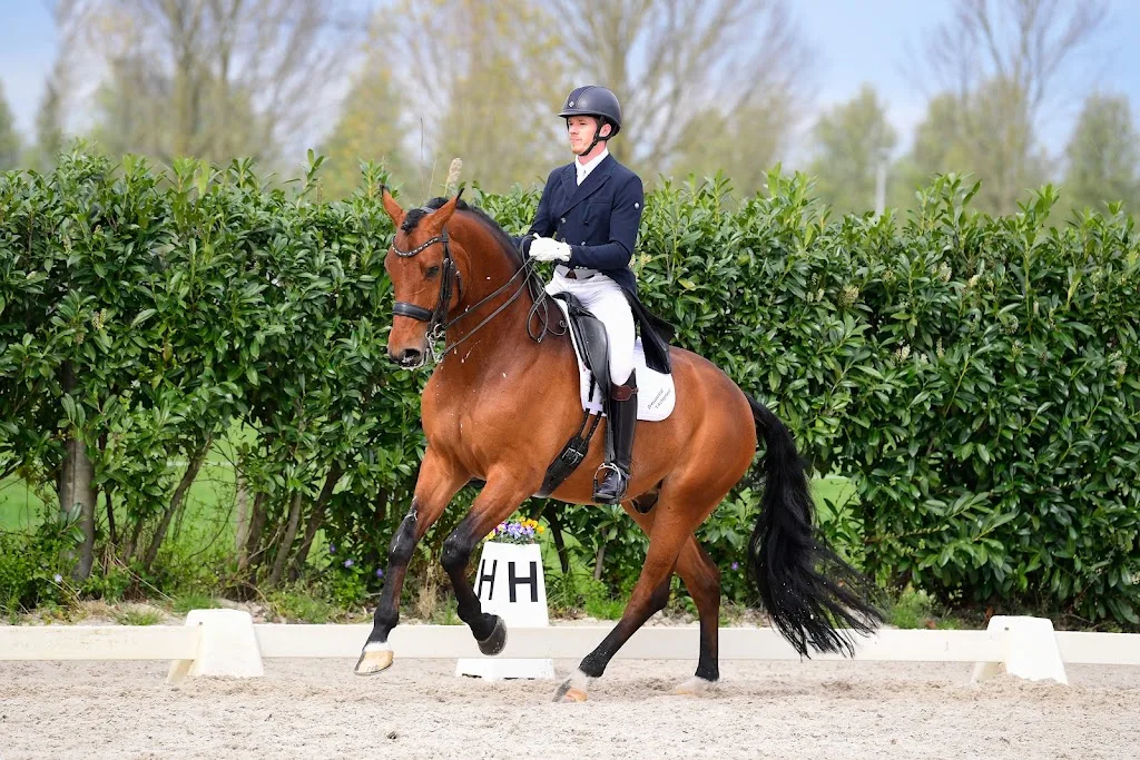 Pensionstal Arina's Hoeve - foto 2