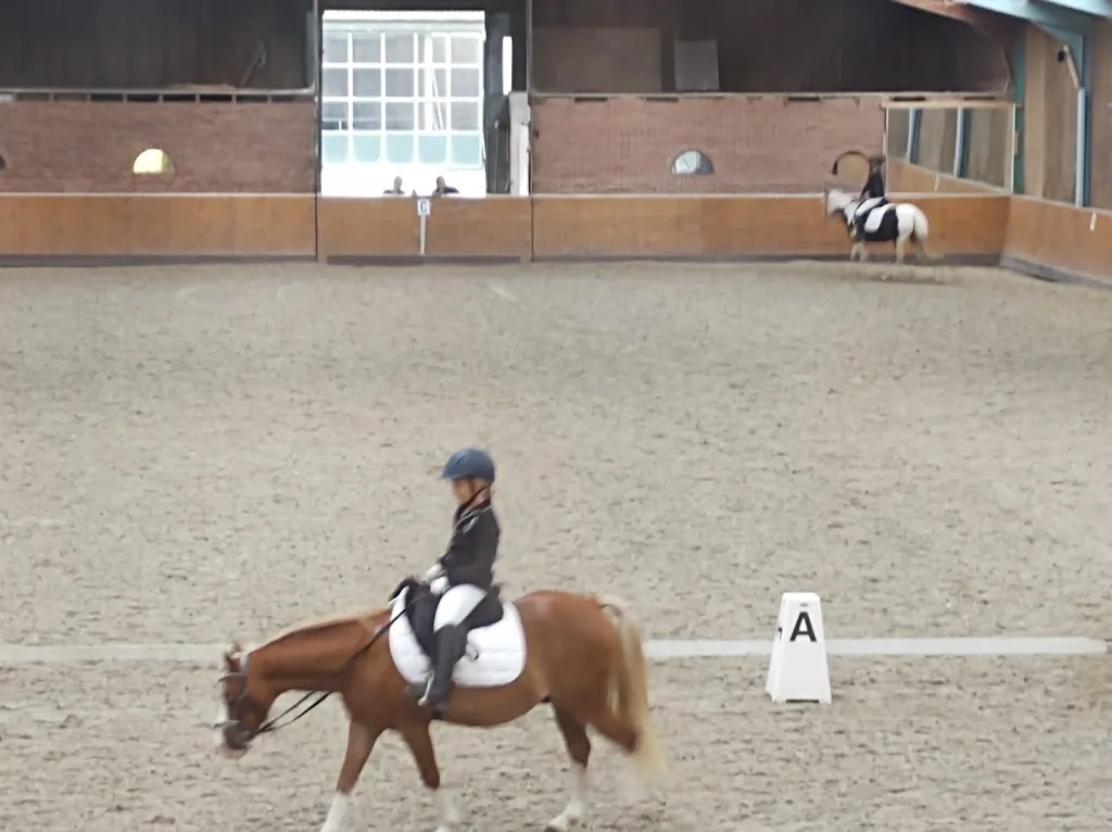 Stal Dijkman, 't Centrum voor paard en mens - foto 1