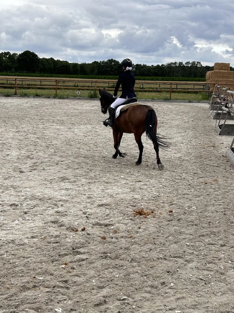 Thielen Manege - foto 1