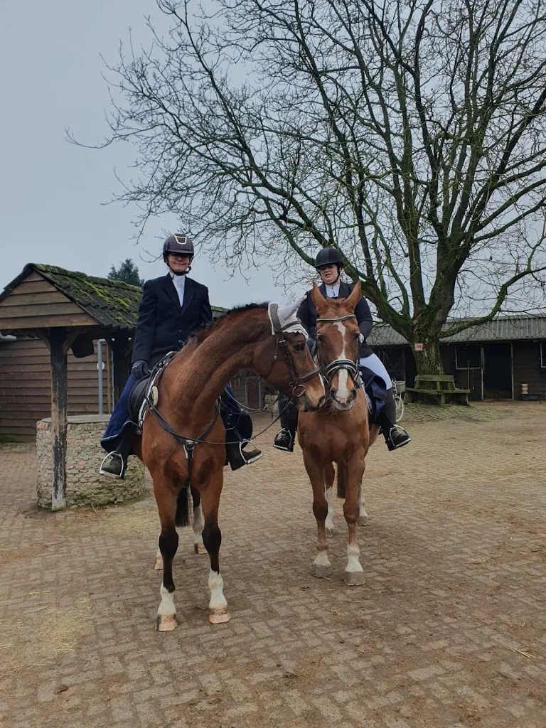 Thielen Manege - foto 2