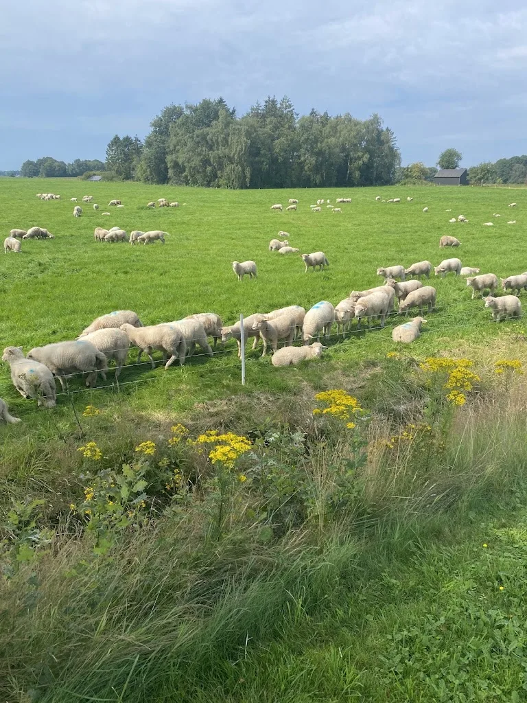 Stal de Swaen - foto 1