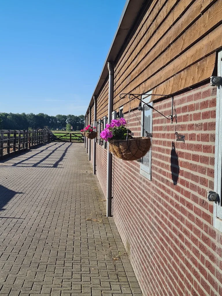Stal Tandhof - foto 2