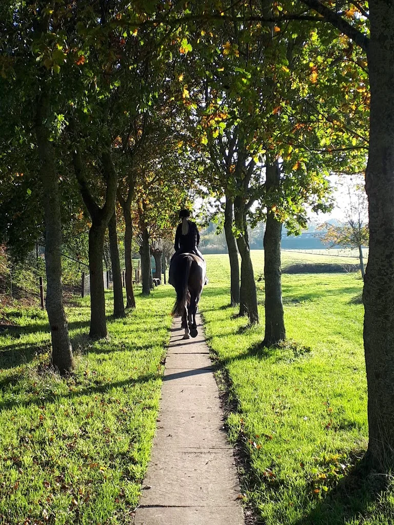 Stal Ermelo - foto 1