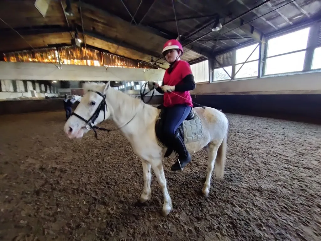Manege Hoogvliet - foto 1