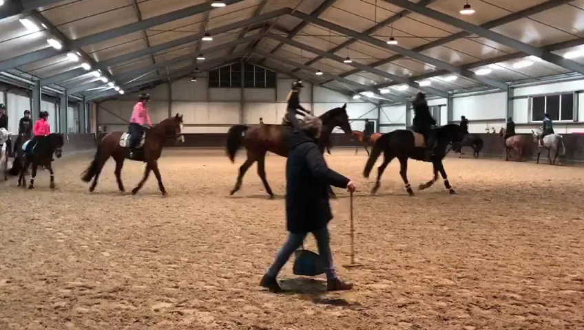 Hippisch Centrum De Eemvallei 🐎 - foto 1