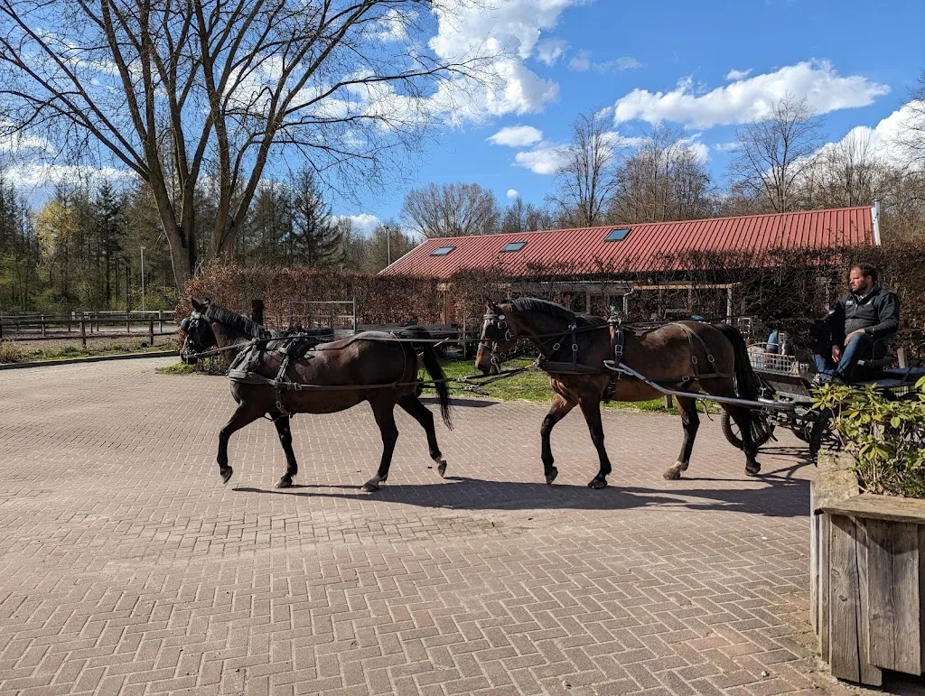 Hippisch Centrum De Eemvallei 🐎 - foto 3