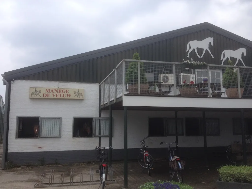 Stal de Veluw - foto 2