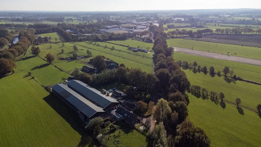Van der Wardt Pensioenpaarden - foto 1