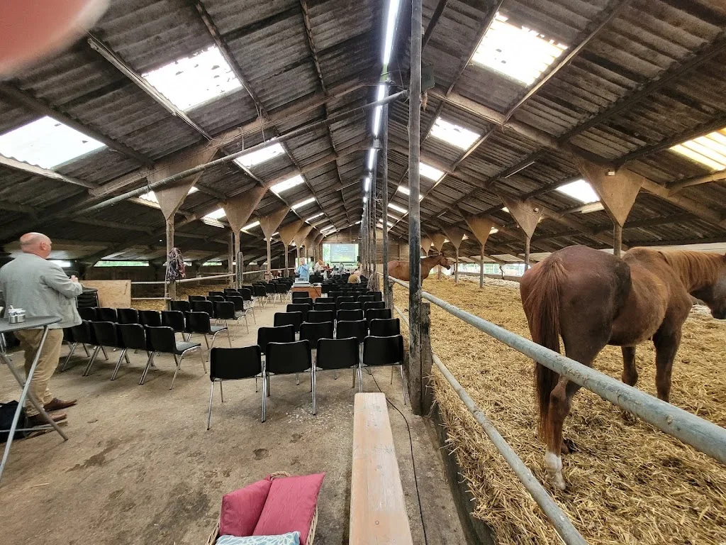 Paarden opfokbedrijf Helmus - foto 2