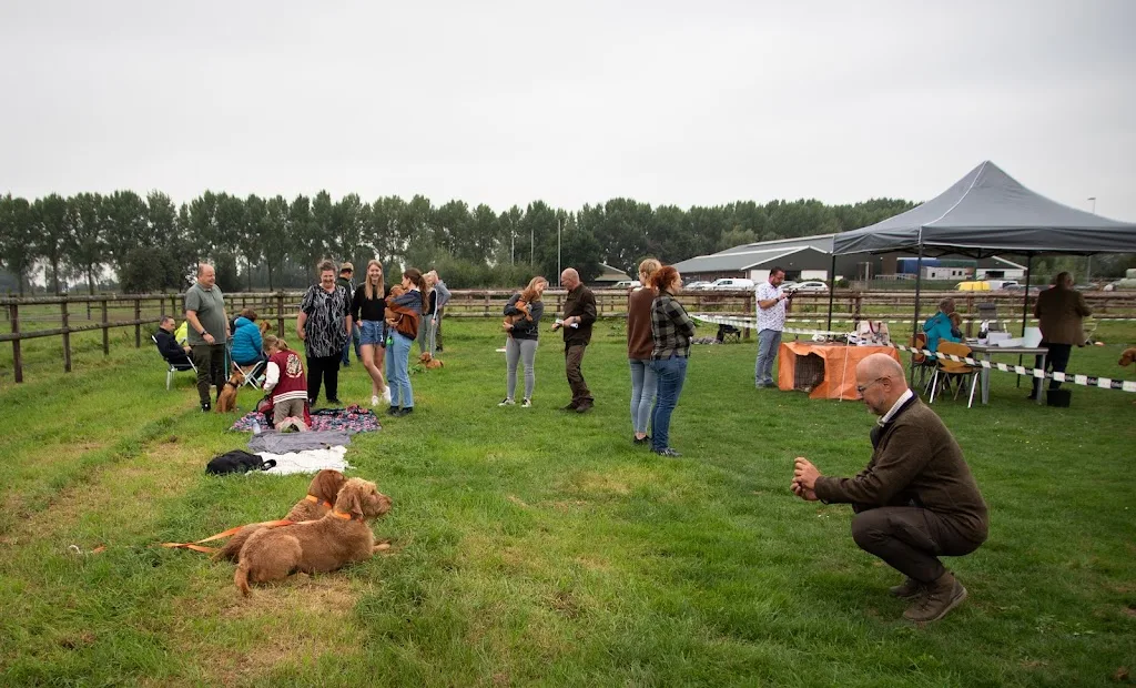 Opfok- en trainingsstal De Kooihoeve - foto 1