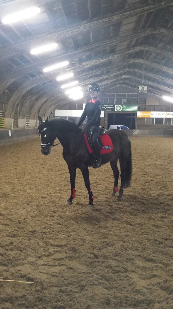 Dressuur- en Trainingsstal Maya de Hoog - foto 1