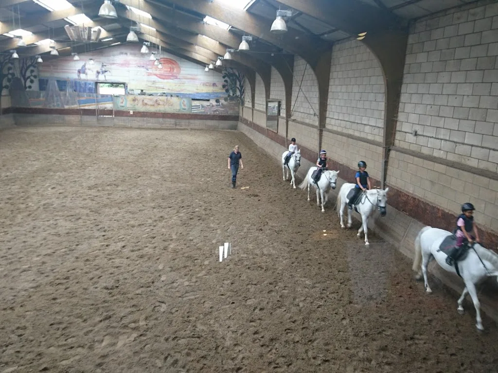 Dressuur- en Trainingsstal Maya de Hoog - foto 3