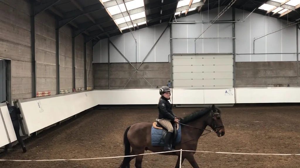 Manege Stal Sintels BV - foto 3
