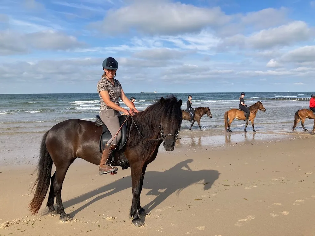 PaardenRijk - foto 2