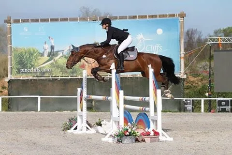 Stal Schaerweijde - foto 2