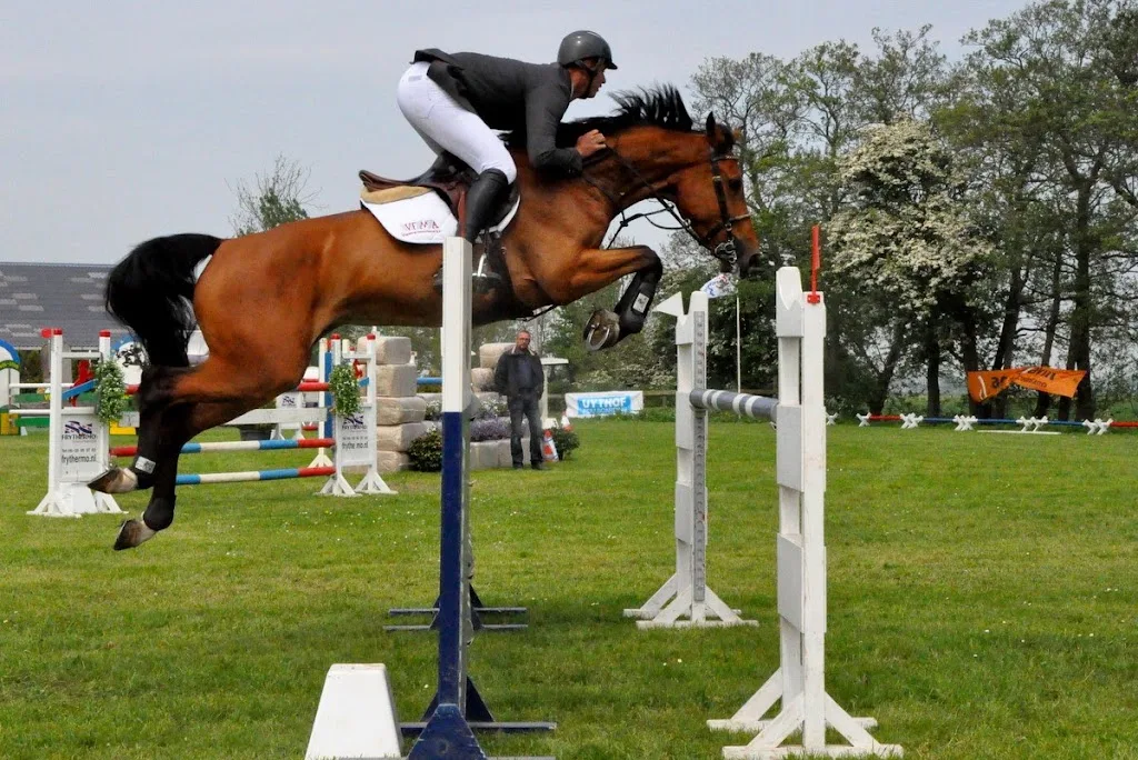 Stichting Ruitersportcentrum De Boswal - foto 2
