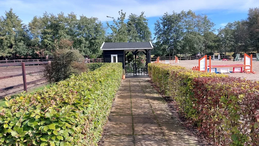 Stal Peter Geerink B.V. - foto 3