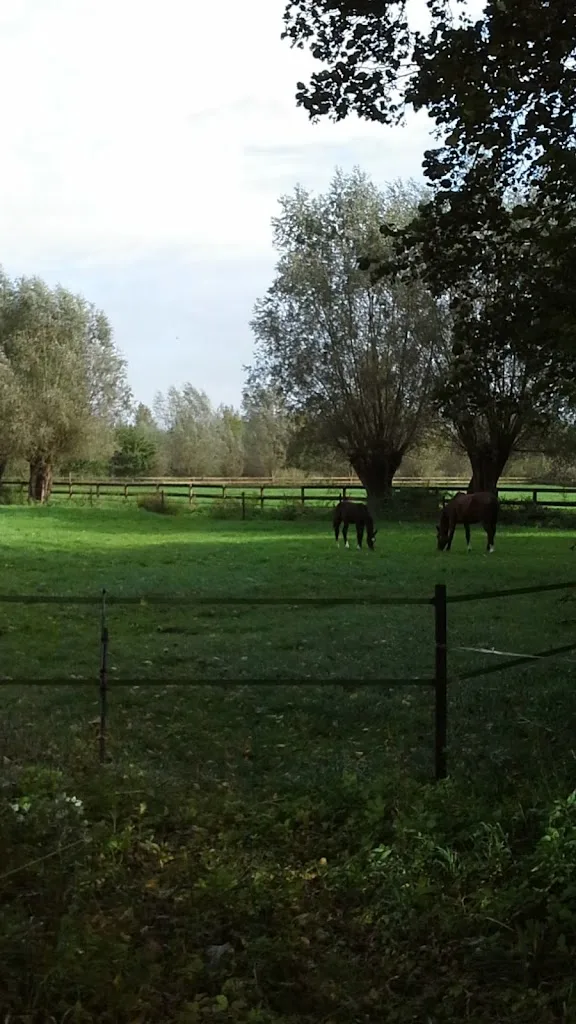 Stal Witte B.V. - foto 2