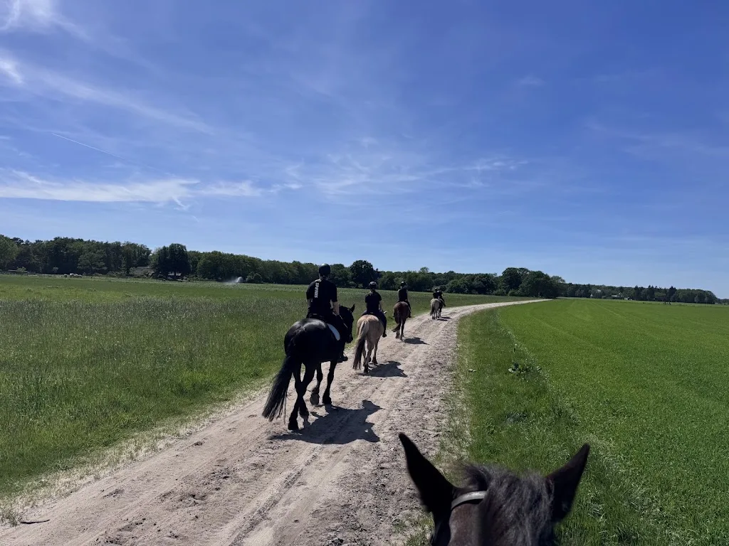 Paardencentrum "Drift 12" - foto 1
