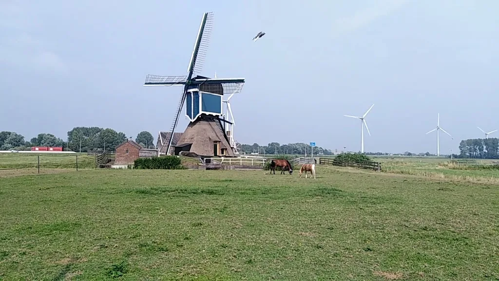 Stal De Nieuwe Uithof - foto 1