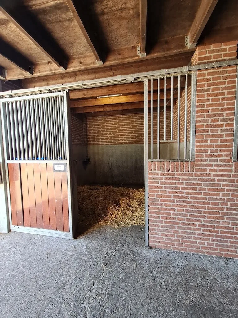 Heuvelrug Horses - foto 1