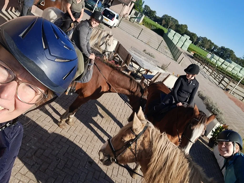 Heuvelrug Horses - foto 2