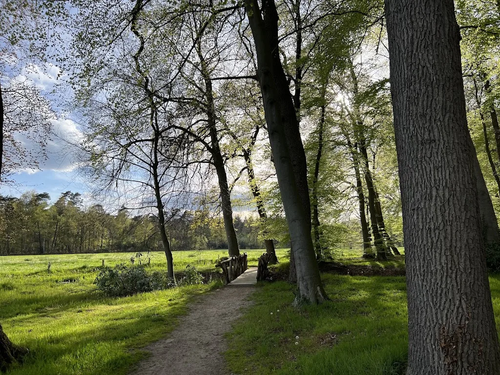 Stal kranenkamp - foto 1