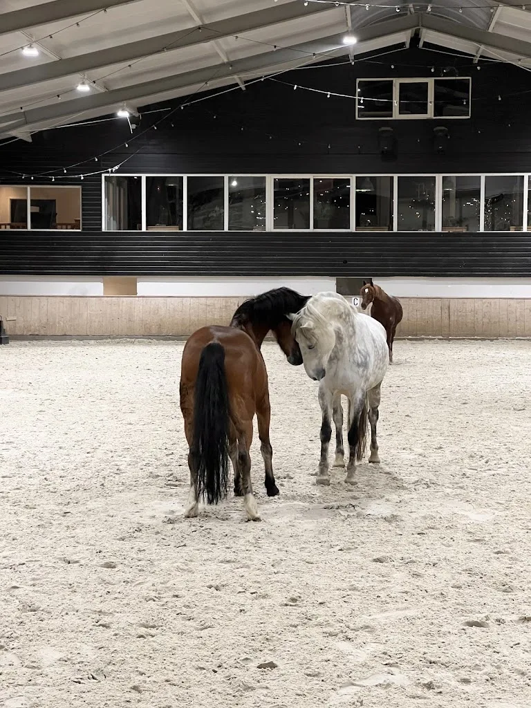 Stal veldt - foto 1