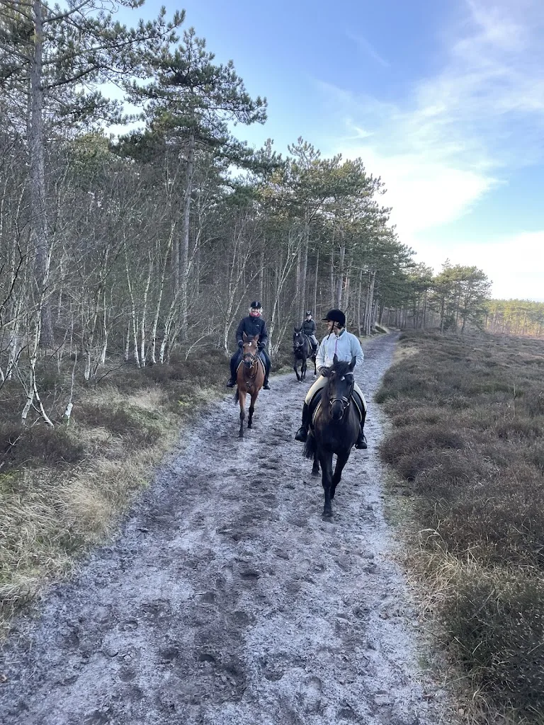 Stal veldt - foto 2