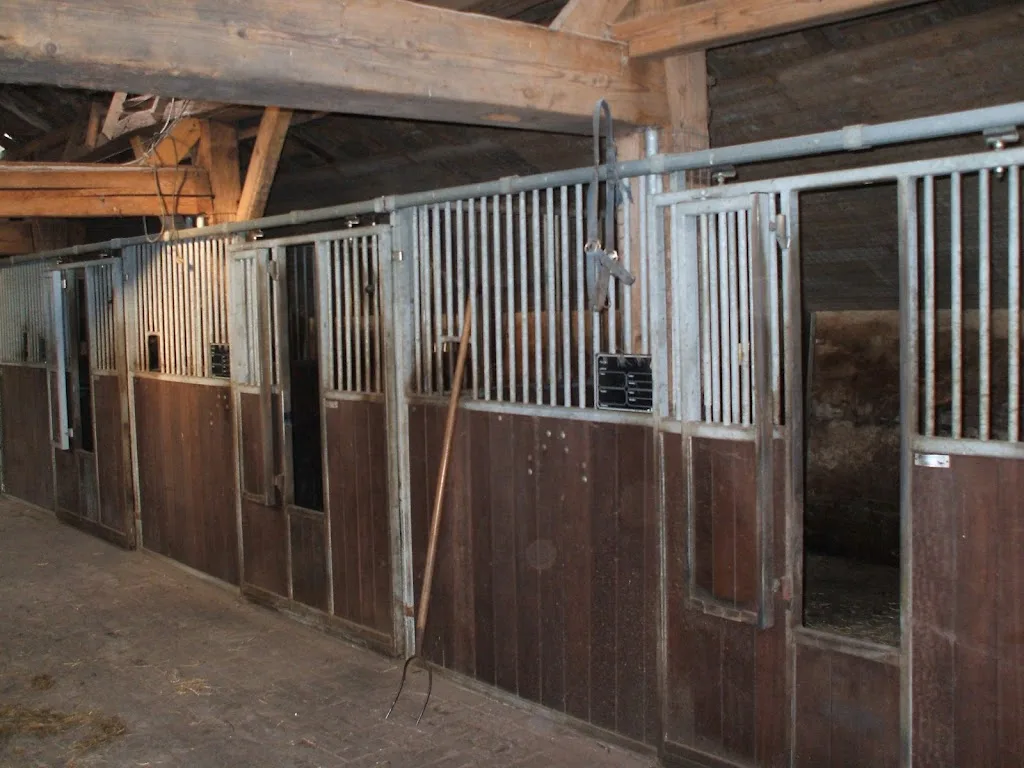stal slendebroek - foto 1