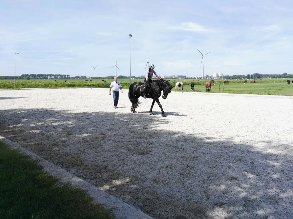 Stal Anna’s Hoeve - foto 1