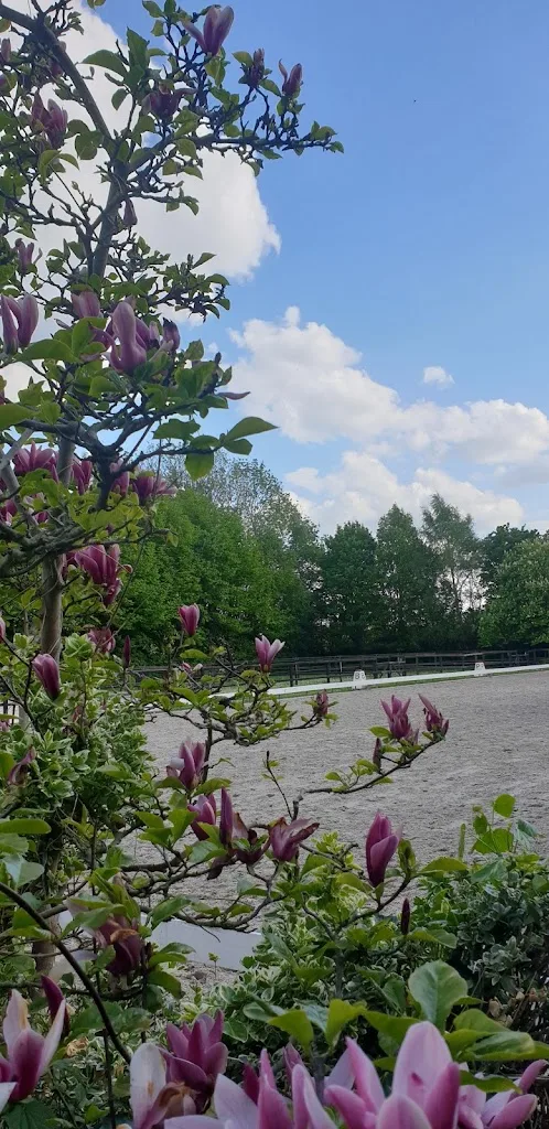 Stal Anna’s Hoeve - foto 3