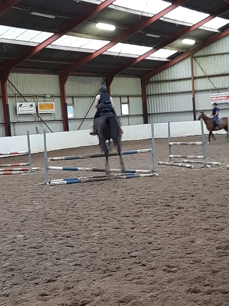 Hengstenhouderij & Fokstal Rick Jansen - foto 1