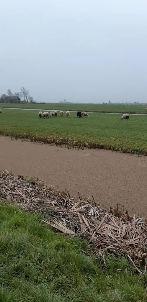 't Beijersche Stal - foto 1