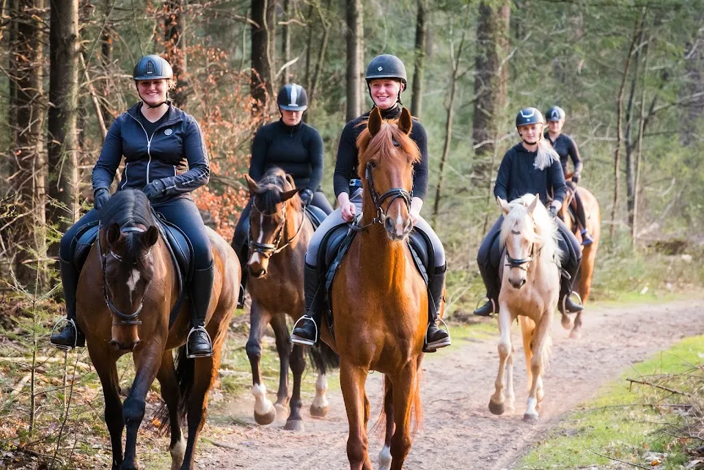 Holsten Stables - foto 1