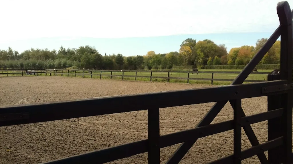 Cts dressage - foto 3