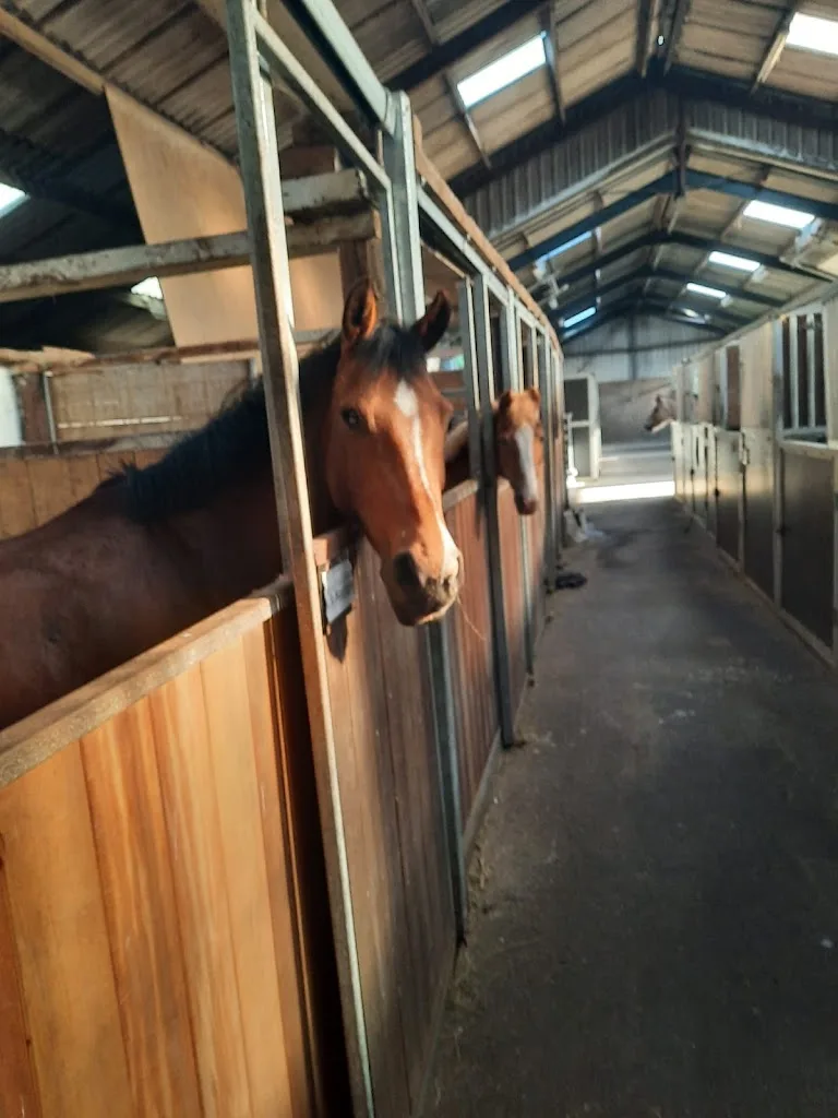 Manege de Hjouwer - foto 1