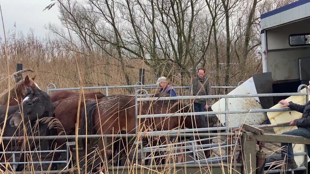 Stal van Driel - foto 2